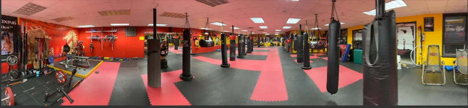 Jeet Kune Do Academy Of MMA academy photo