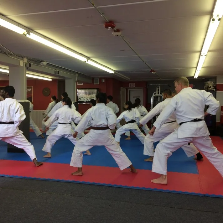 JKA Revere Martial Arts Center academy photo