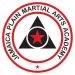 JP Martial Arts Academy academy logo