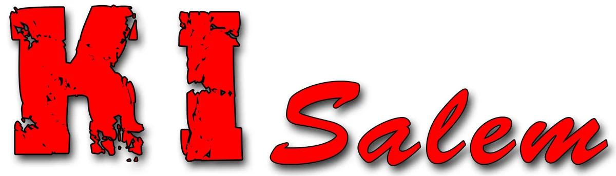 KI Salem Martial Arts academy logo