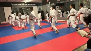 Lynn Martial Arts Center academy photo