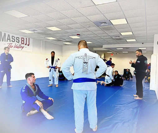 Mass BJJ The Valley academy logo