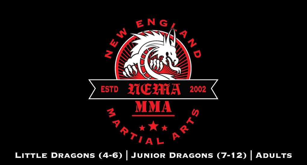 New England Martial Arts academy photo