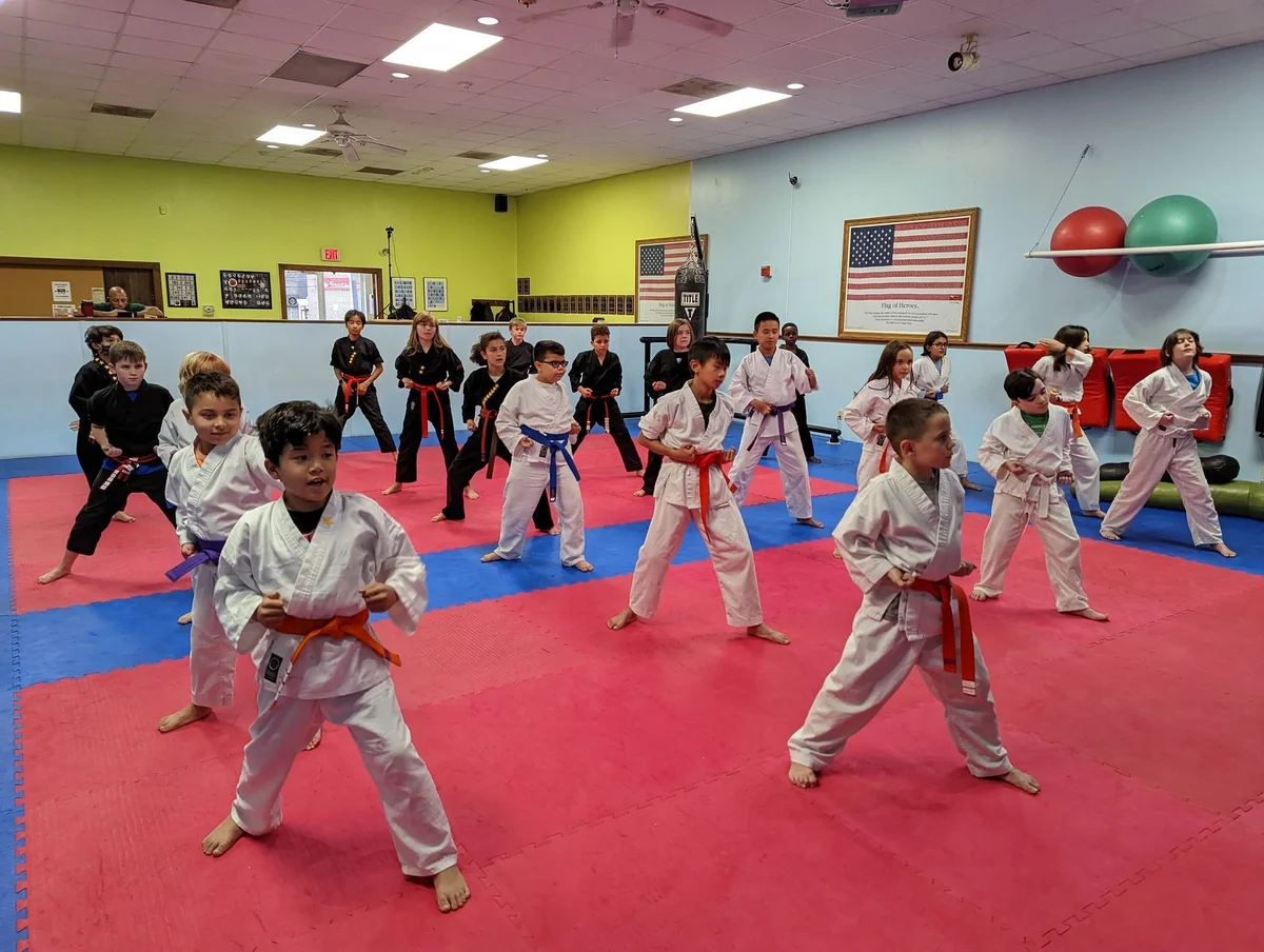 North Shore Martial Arts academy photo