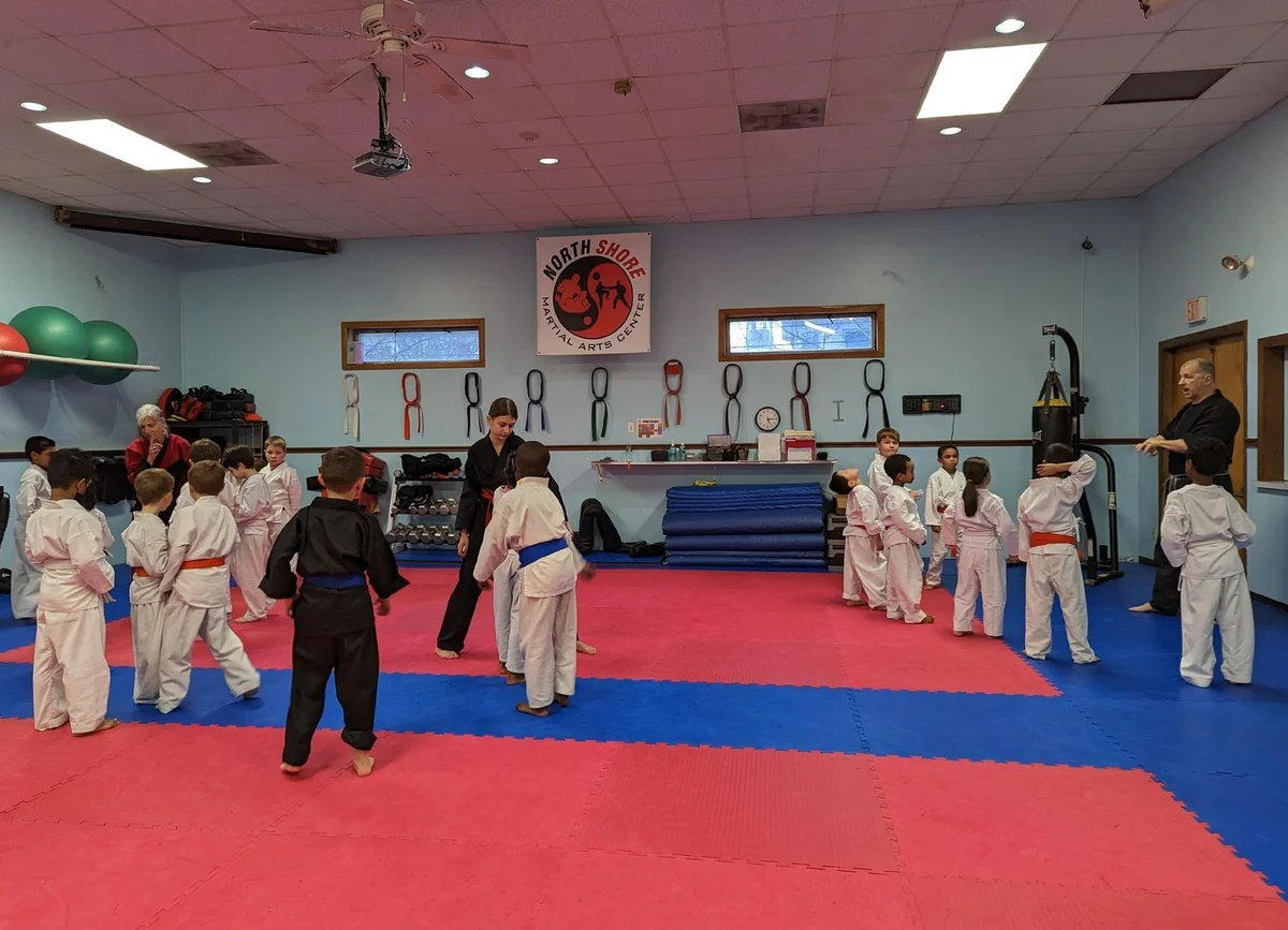 North Shore Martial Arts academy photo