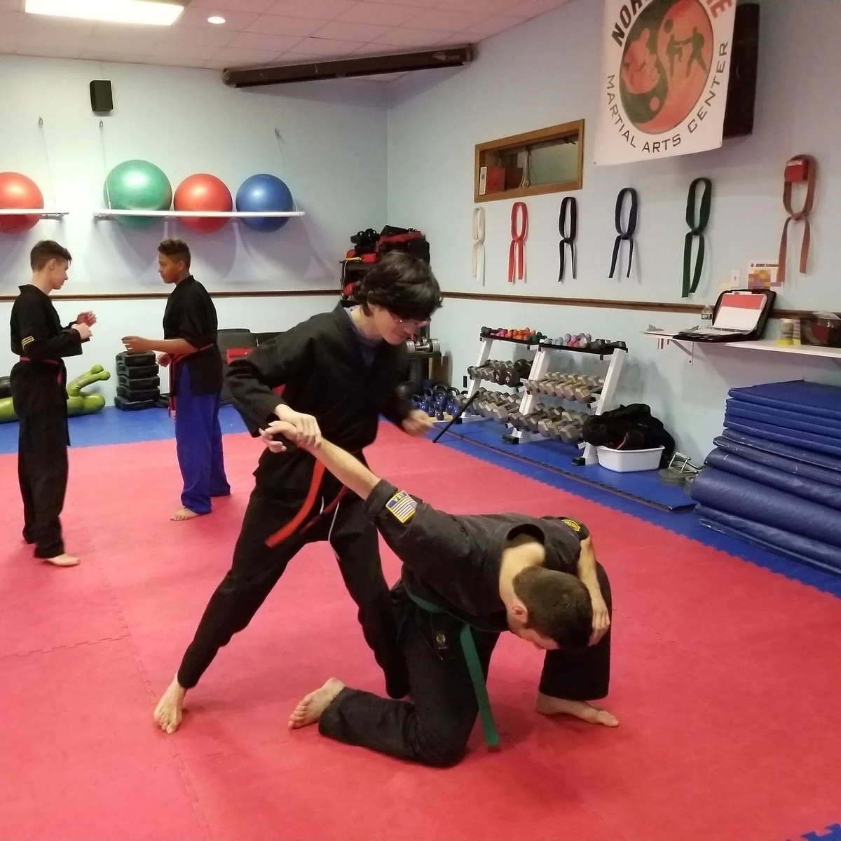 North Shore Martial Arts academy photo