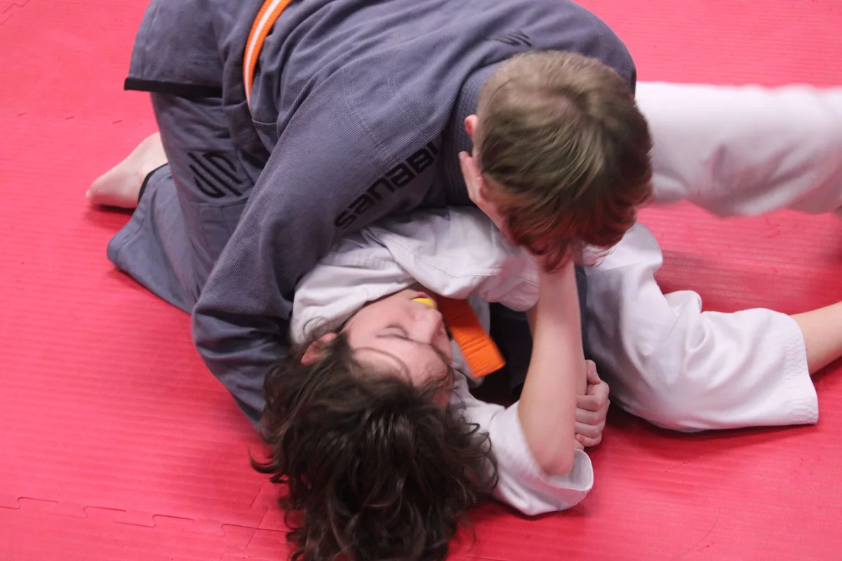 North Shore Martial Arts academy logo