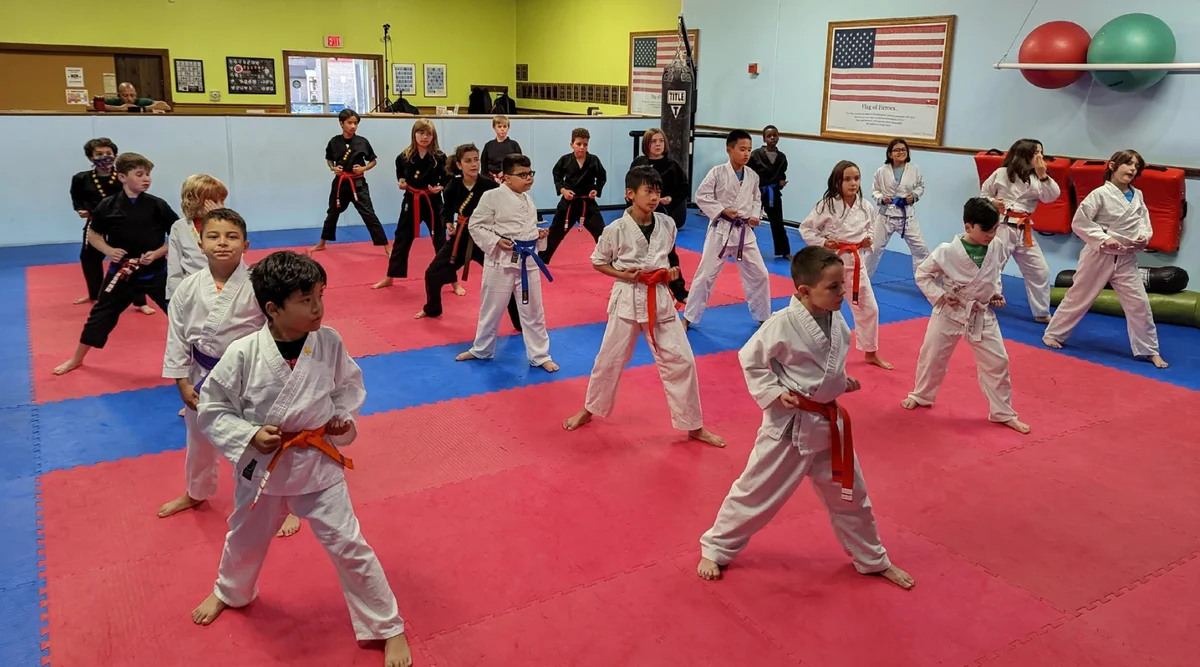North Shore Martial Arts academy photo