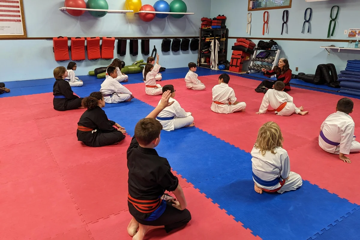 North Shore Martial Arts academy photo