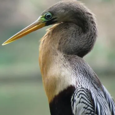BMAC Martial Arts Center Boston | Brazilian Jiu-Jitsu (BJJ ... academy photo