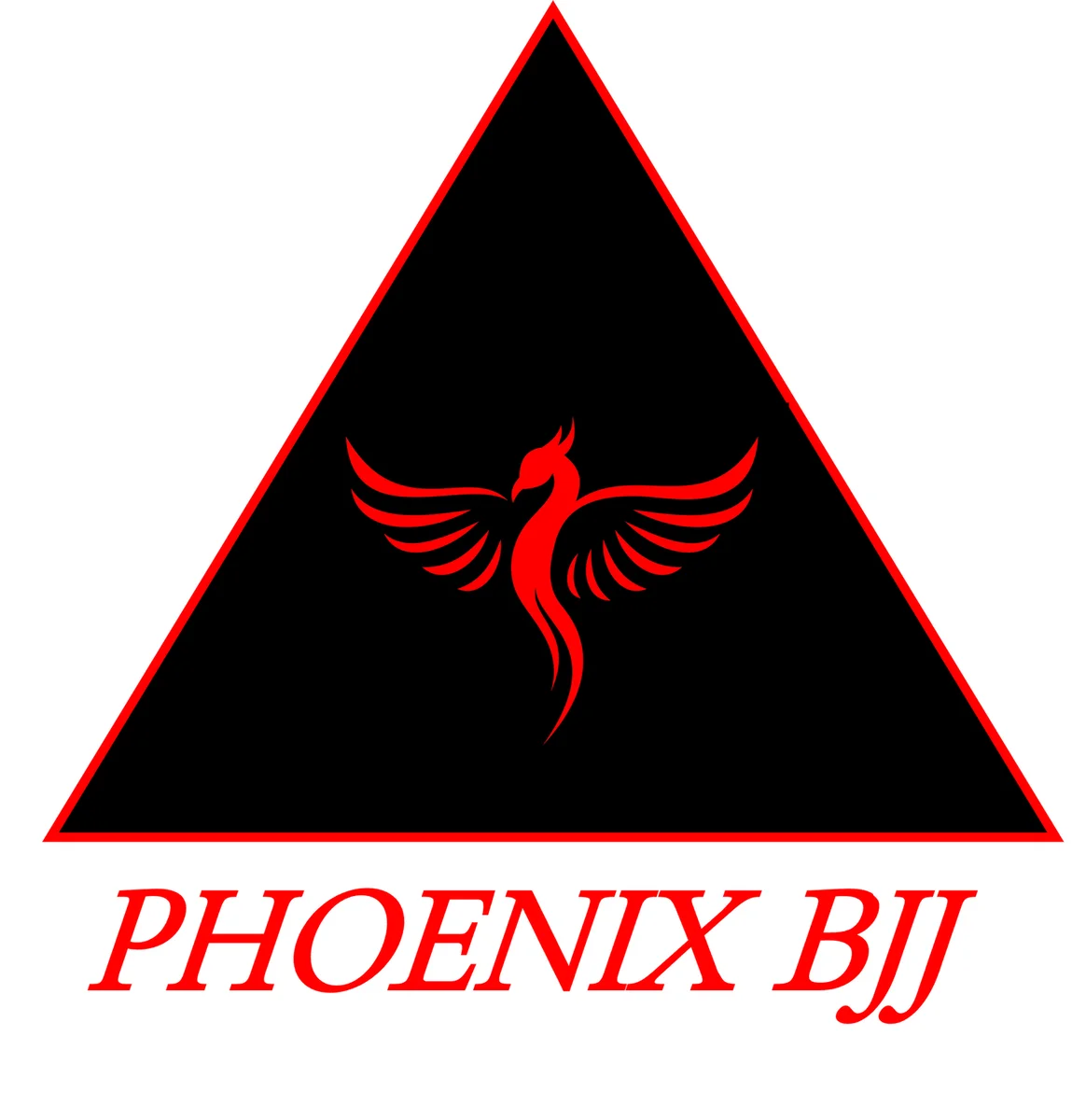 Phoenix BJJ academy photo