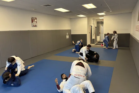 Phoenix BJJ visual