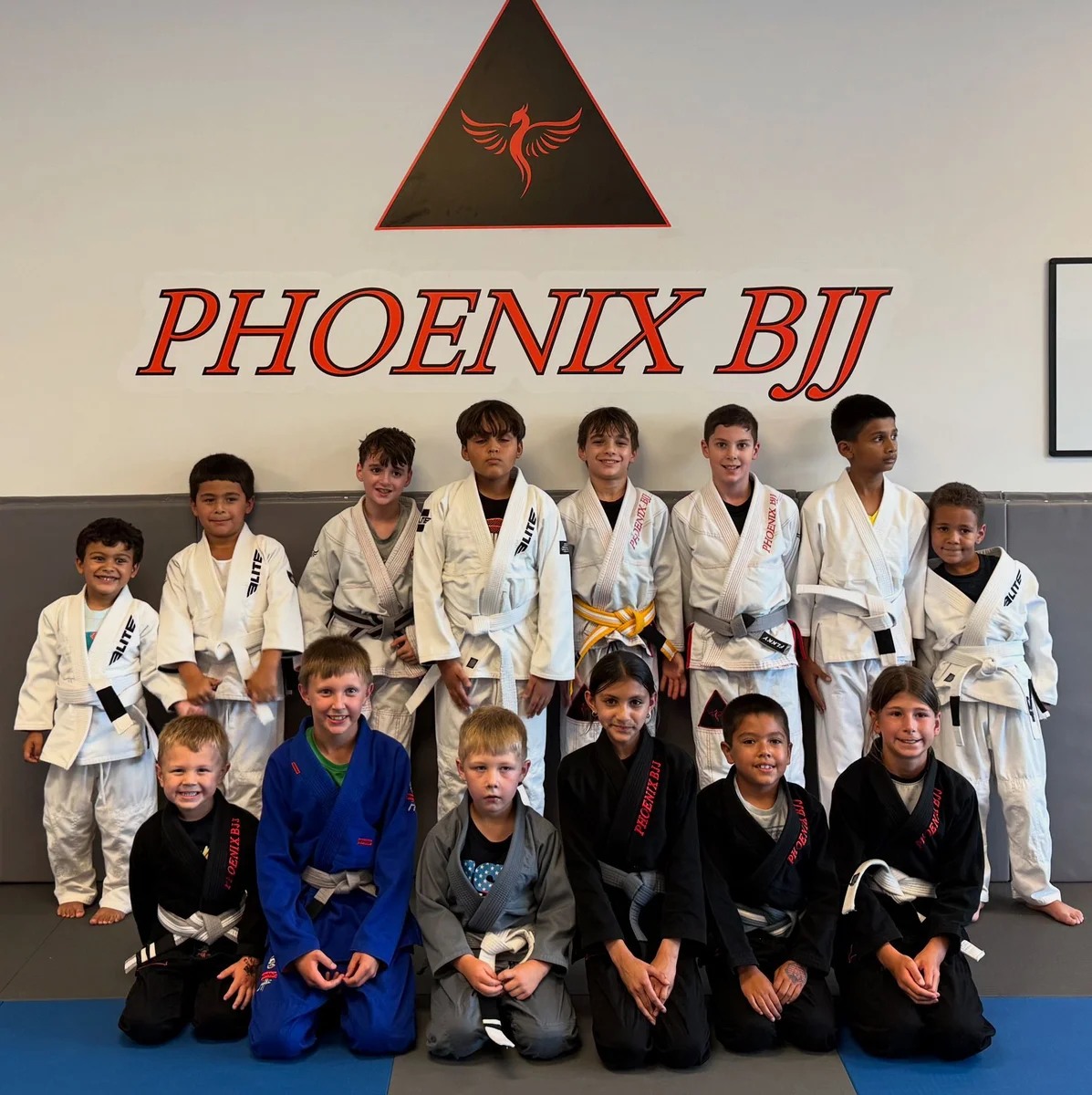 Phoenix BJJ academy photo