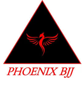 Phoenix BJJ academy photo