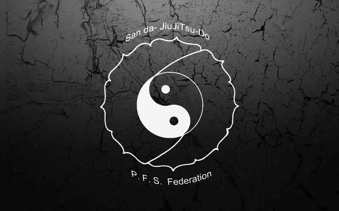 San Da JiuJitsu Do visual
