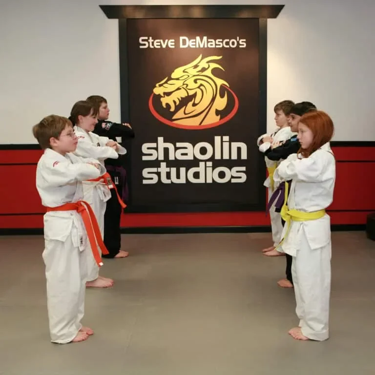Ultimate Martial Arts Newton academy photo