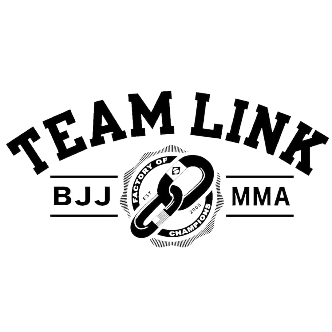 Team Link Webster BJJ and MMA academy logo