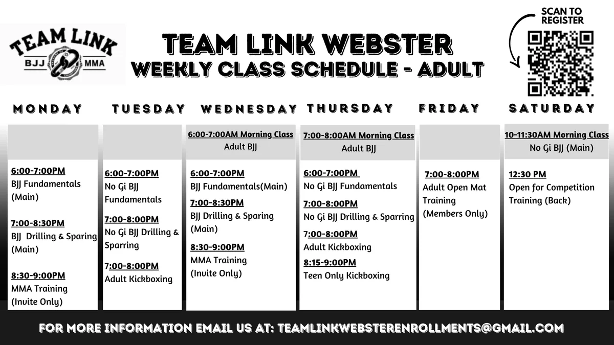 Team Link Webster BJJ and MMA academy photo