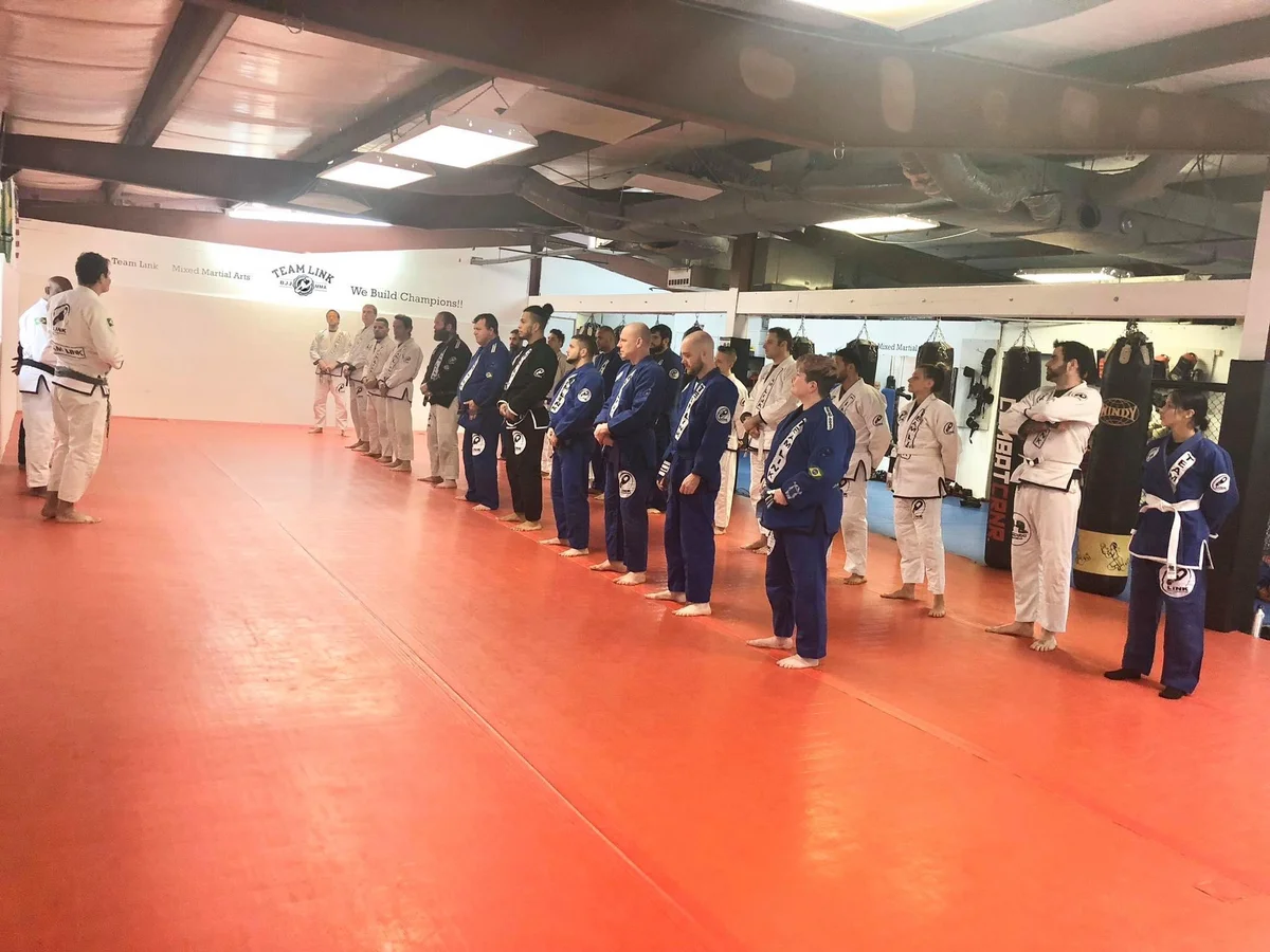 Team Link Webster BJJ and MMA academy photo
