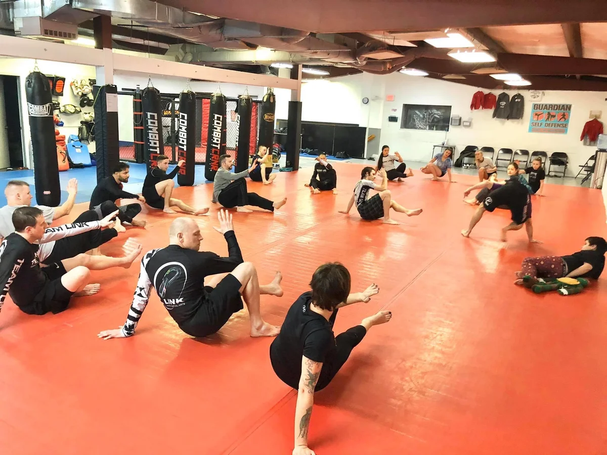 Team Link Webster BJJ and MMA academy photo