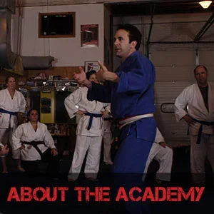 The Theodorou Academy of Jiu Jitsu academy photo