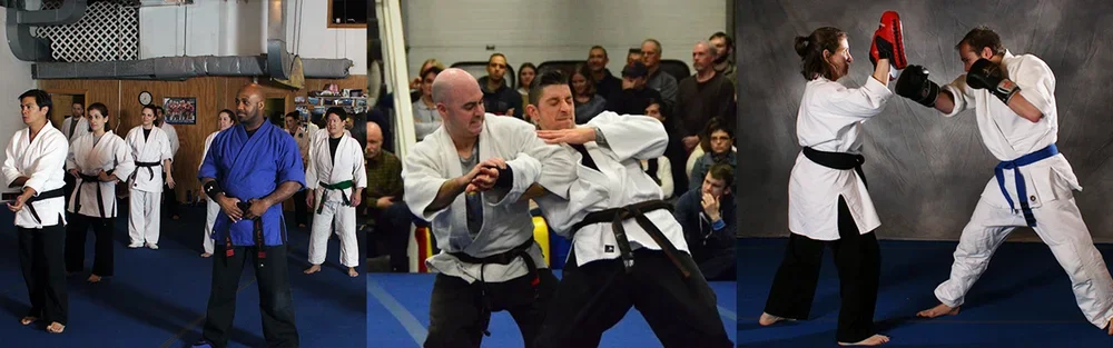 The Theodorou Academy of Jiu Jitsu academy logo