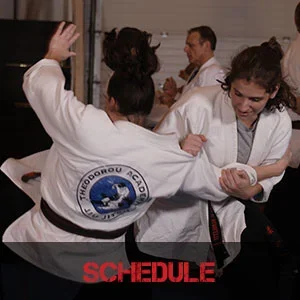 The Theodorou Academy of Jiu Jitsu academy photo