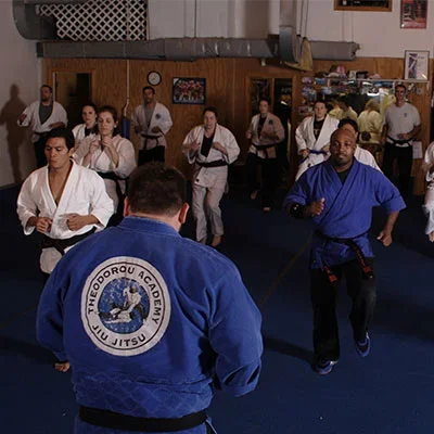 The Theodorou Academy of Jiu Jitsu academy photo
