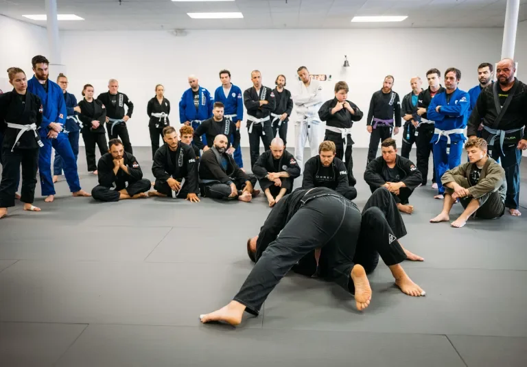 Torrent Brazilian Jiu-Jitsu academy photo