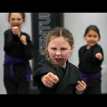 Trinity Martial Arts Hingham academy logo