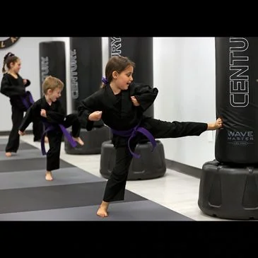 Trinity Martial Arts Hingham academy photo