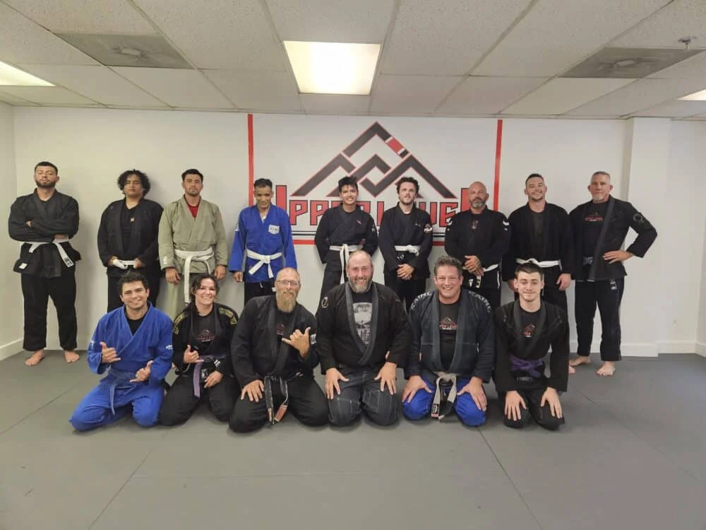 Upper Level Jiu Jitsu and Boxing academy photo