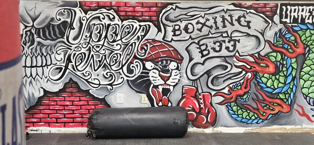 Upper Level Jiu Jitsu and Boxing academy photo