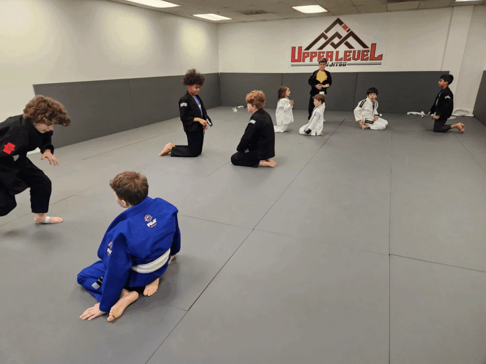 Upper Level Jiu Jitsu and Boxing academy photo
