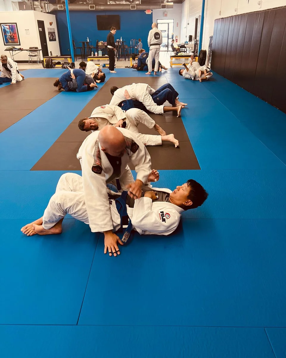 Viver MMA academy photo