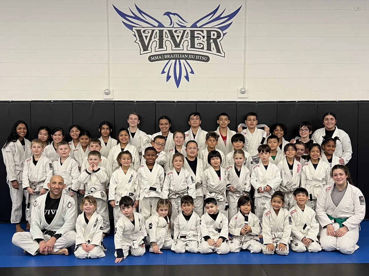 Viver MMA academy photo