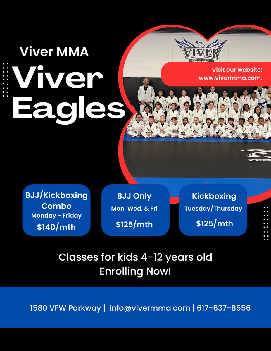 Viver MMA academy photo