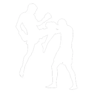 Watch City MMA academy photo