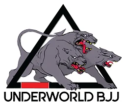 UNDERWORLD BRAZILIAN JIU-JITSU facility image