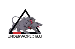 UNDERWORLD BRAZILIAN JIU-JITSU facility image