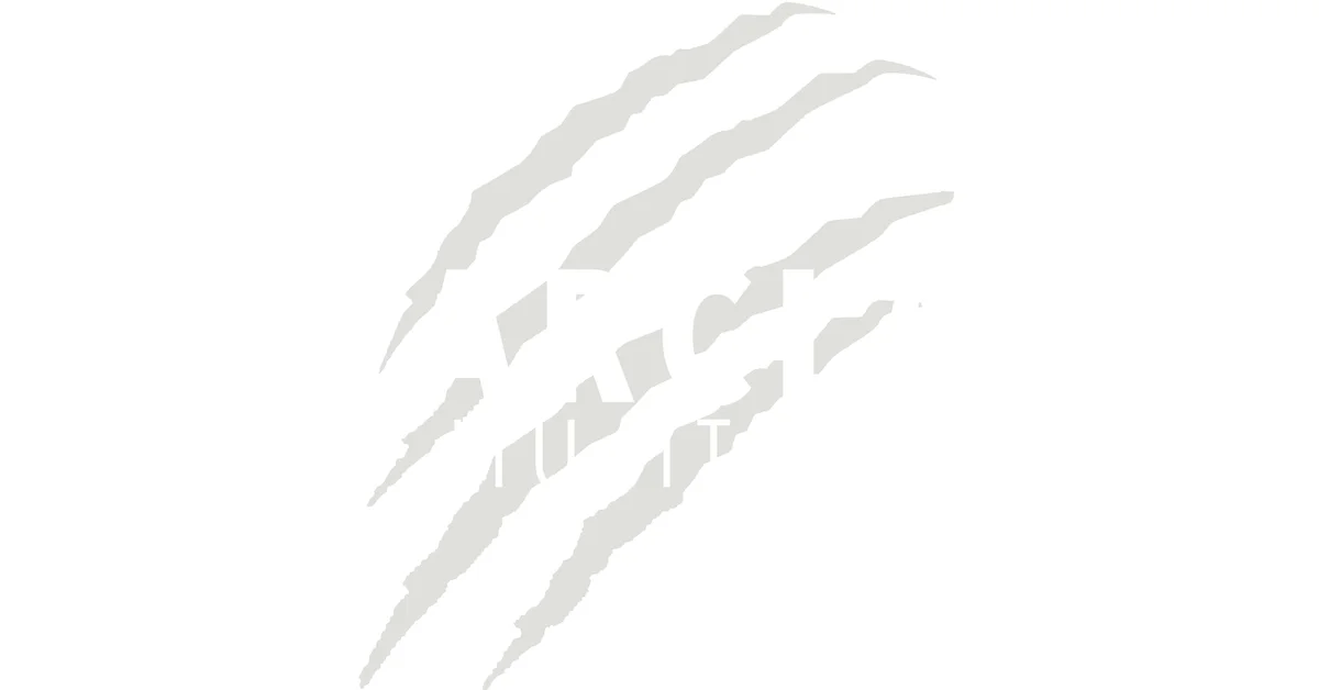 Bearclan Jiujitsu academy logo