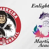 Enlightenment Martial Arts academy logo