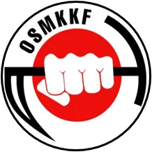 Maine Traditional Karate visual
