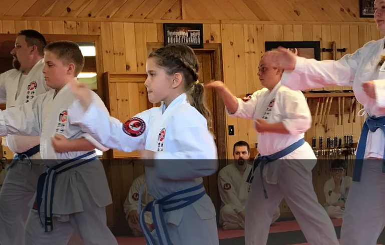 Maine Traditional Karate academy photo