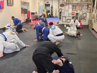 Silvestre Brazilian Jiu Jitsu facility image