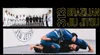 313 Brazilian Jiu Jitsu facility image