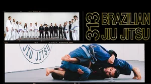 313 Brazilian Jiu Jitsu facility image