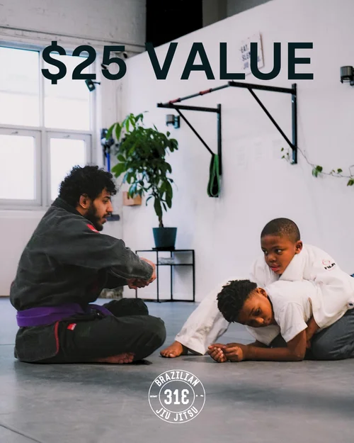 313 Brazilian Jiu Jitsu facility image