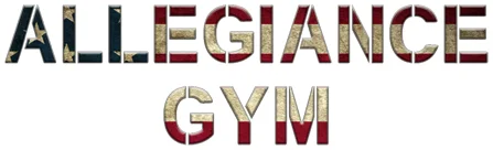Allegiance Gym academy logo