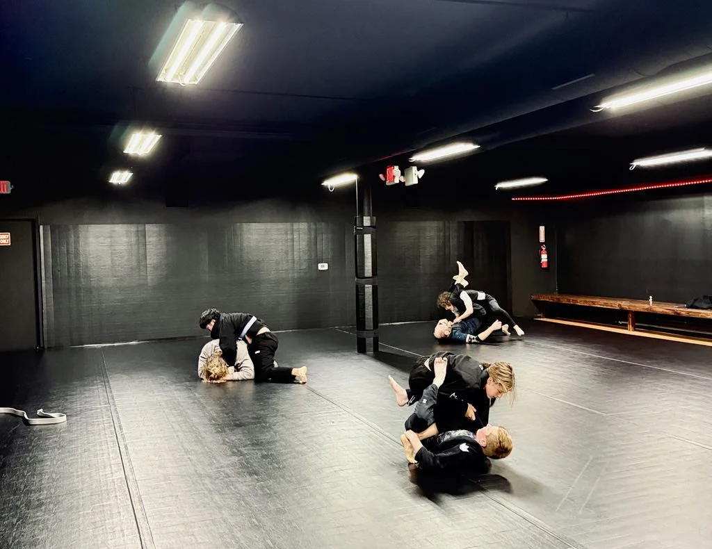 Ann Arbor Brazilian Jiu-Jitsu facility image